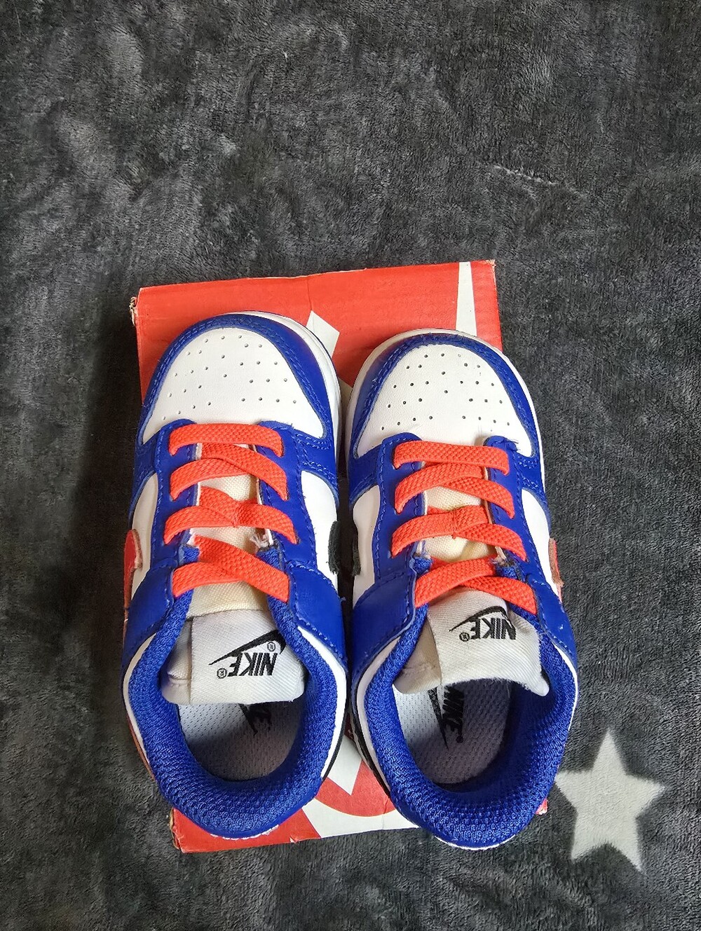Toddler Nike Dunk Low